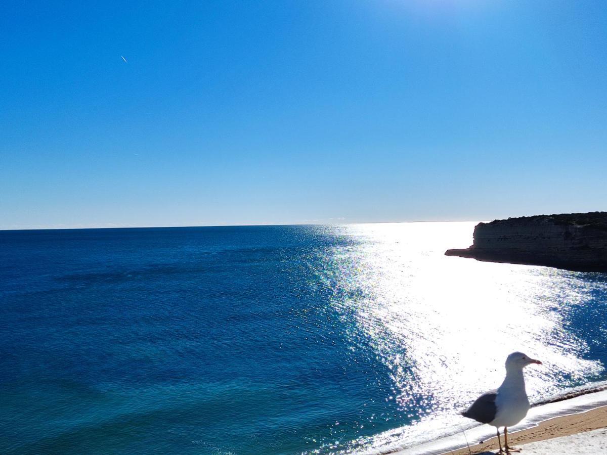 01 Sra Da Rocha Com Piscina E Ac - Casas & Papeis Apartman Armação de Pêra Kültér fotó